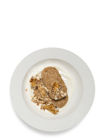 The Brittle Boyo